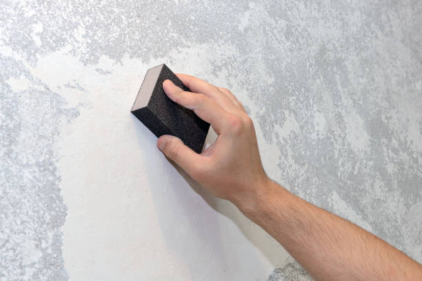 Best Basement Mold Removal  in Excelsior, MN