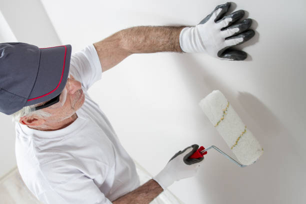 Professional Mold Removal in Excelsior, MN