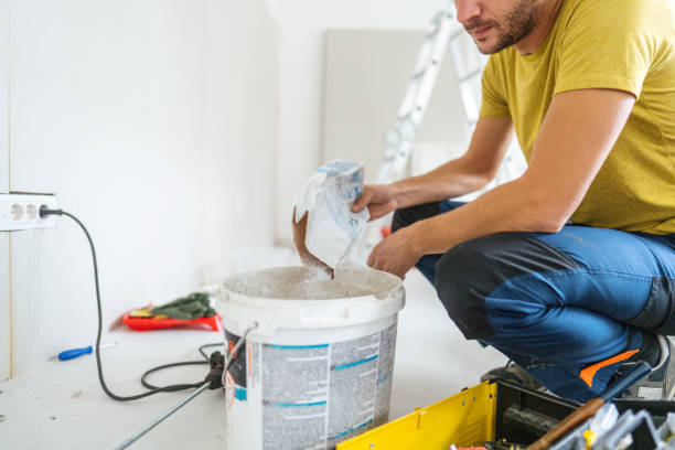 Best Mold Remediation for Vacation Homes  in Excelsior, MN