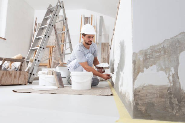 Mold Odor Removal Services in Excelsior, MN