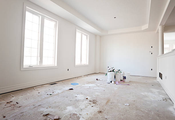 Best Mold Damage Restoration  in Excelsior, MN