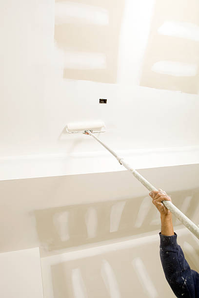 Best Water Damage & Mold Remediation  in Excelsior, MN